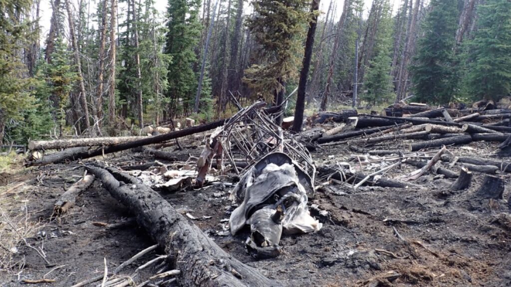 Charred wreckage of an aircraft scattered among downed and burned trees in a forested area, with a partially intact frame visible.