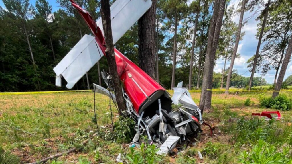 The wreckage of a red and white airplane is wrapped around a tall tree in a clearing bordered by pine trees. The fuselage is bent and torn, and pieces of the airframe lie scattered nearby.