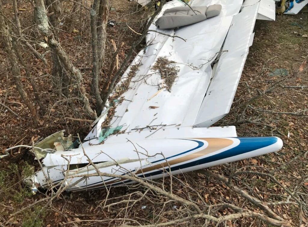 Close-up view of a detached wing from the Beechcraft F33A lying among trees and branches. The wing shows compression and tearing along the leading edge, with blue and gold trim markings still visible.