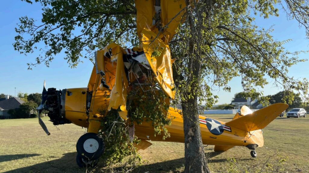 Yellow vintage tailwheel airplane with U.S. military-style markings rests against a tree after impact, with the right wing torn and wrapped around branches and the fuselage tilted on a grassy field.