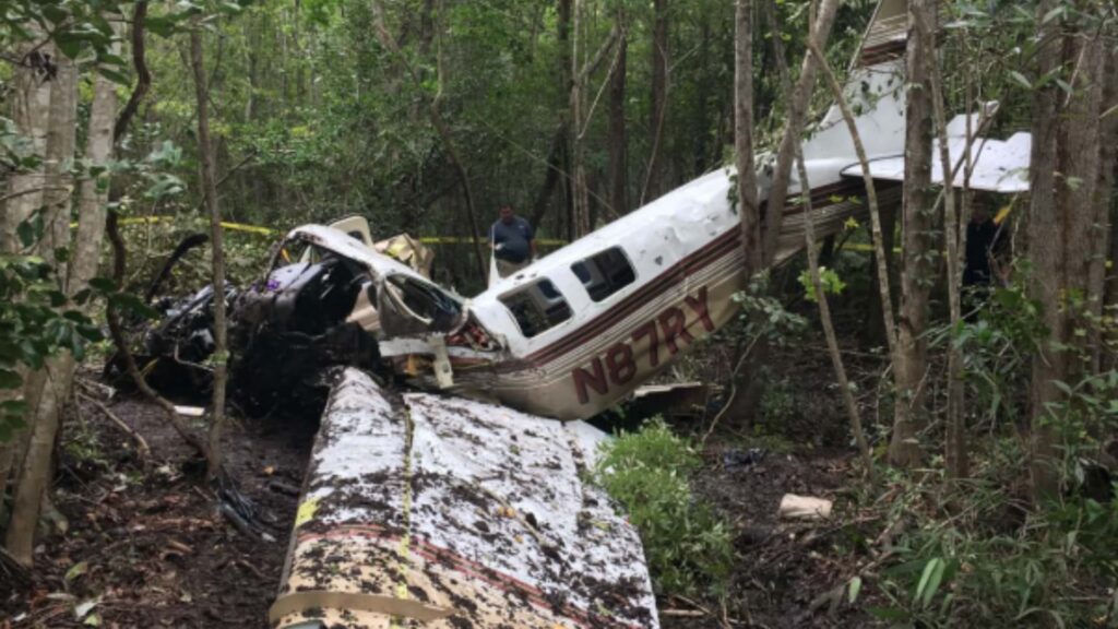 Rear fuselage of Beechcraft A36 N87RY lodged among trees, with broken wing section in foreground and investigator visible near crash site.