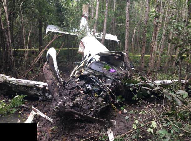 Wreckage of Beechcraft A36 aircraft with severe nose and engine damage in a wooded swamp area, surrounded by trees and debris.