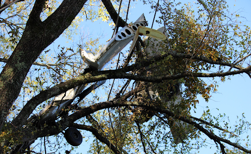Small airplane lodged high in tree branches after a crash, with the landing gear and fuselage visible through the leaves.