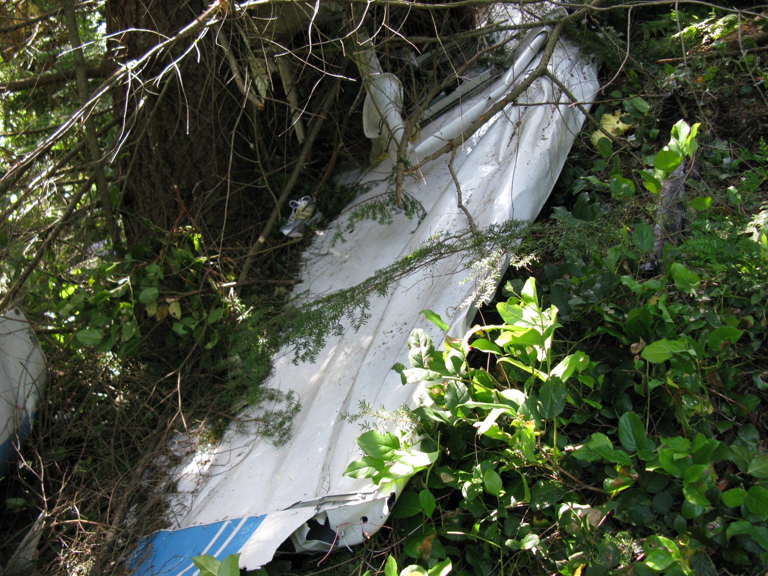 CESSNA 172N accident investigation - McMurray, WA