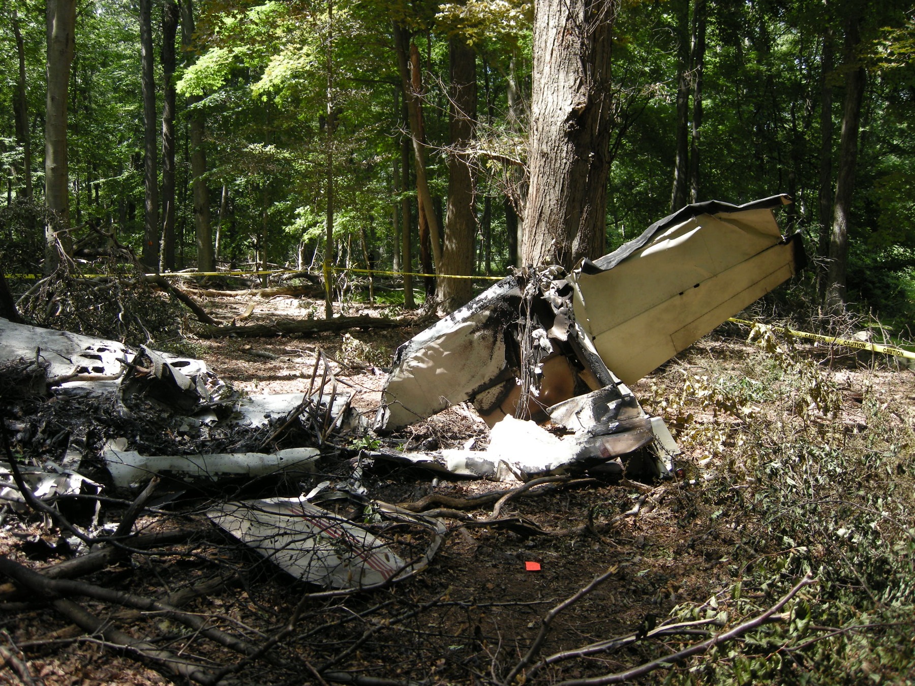 ERA11FA349 — Photo 3: Empennage (NTSB Digital Photo), page 1 (NTSB docket)